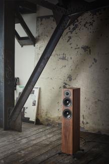 Dynaudio Evoke 30 - noyer