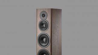 Dynaudio Evoke 50 - noyer